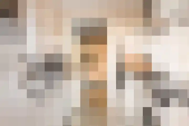 Lijsterstraat 14 Tiel thumbnail 16