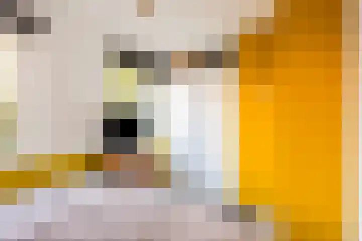 Lijsterstraat 14 Tiel thumbnail 20