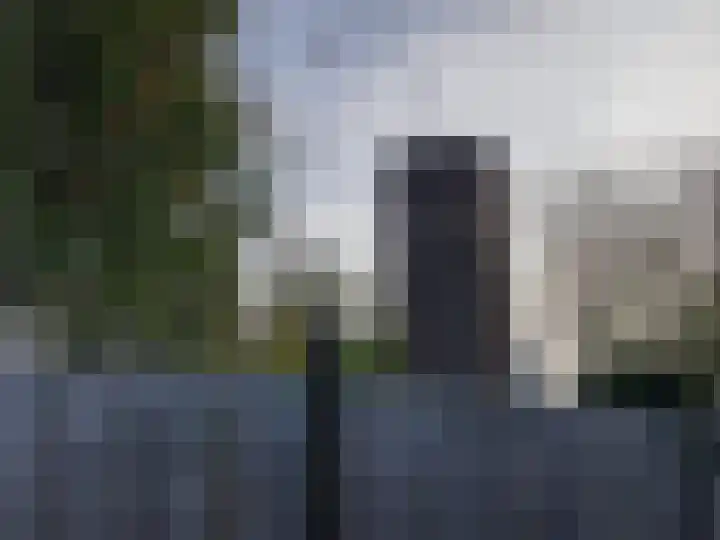 Lijsterstraat 14 Tiel thumbnail 31