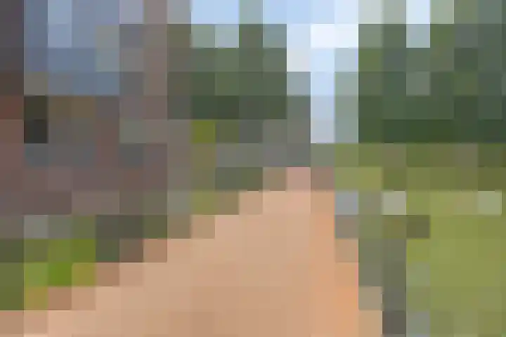 Lijsterstraat 146 Krimpen aan den IJssel thumbnail 32