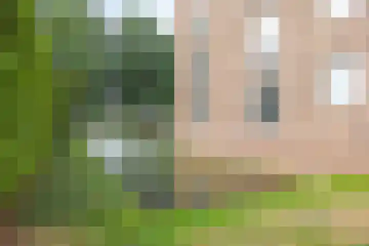 Lijsterstraat 146 Krimpen aan den IJssel thumbnail 33