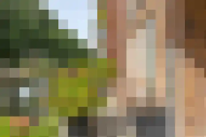 Lijsterstraat 146 Krimpen aan den IJssel thumbnail 6