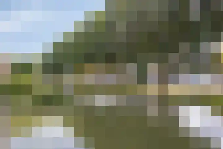 Lijsterstraat 146 Krimpen aan den IJssel thumbnail 8