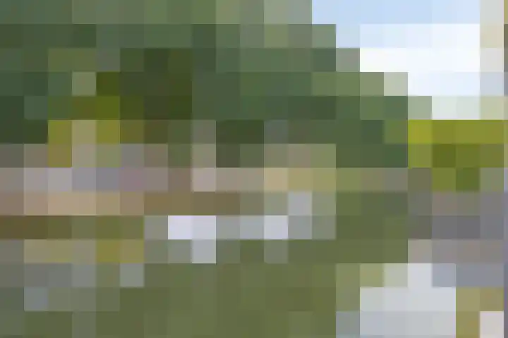 Lijsterstraat 146 Krimpen aan den IJssel thumbnail 9