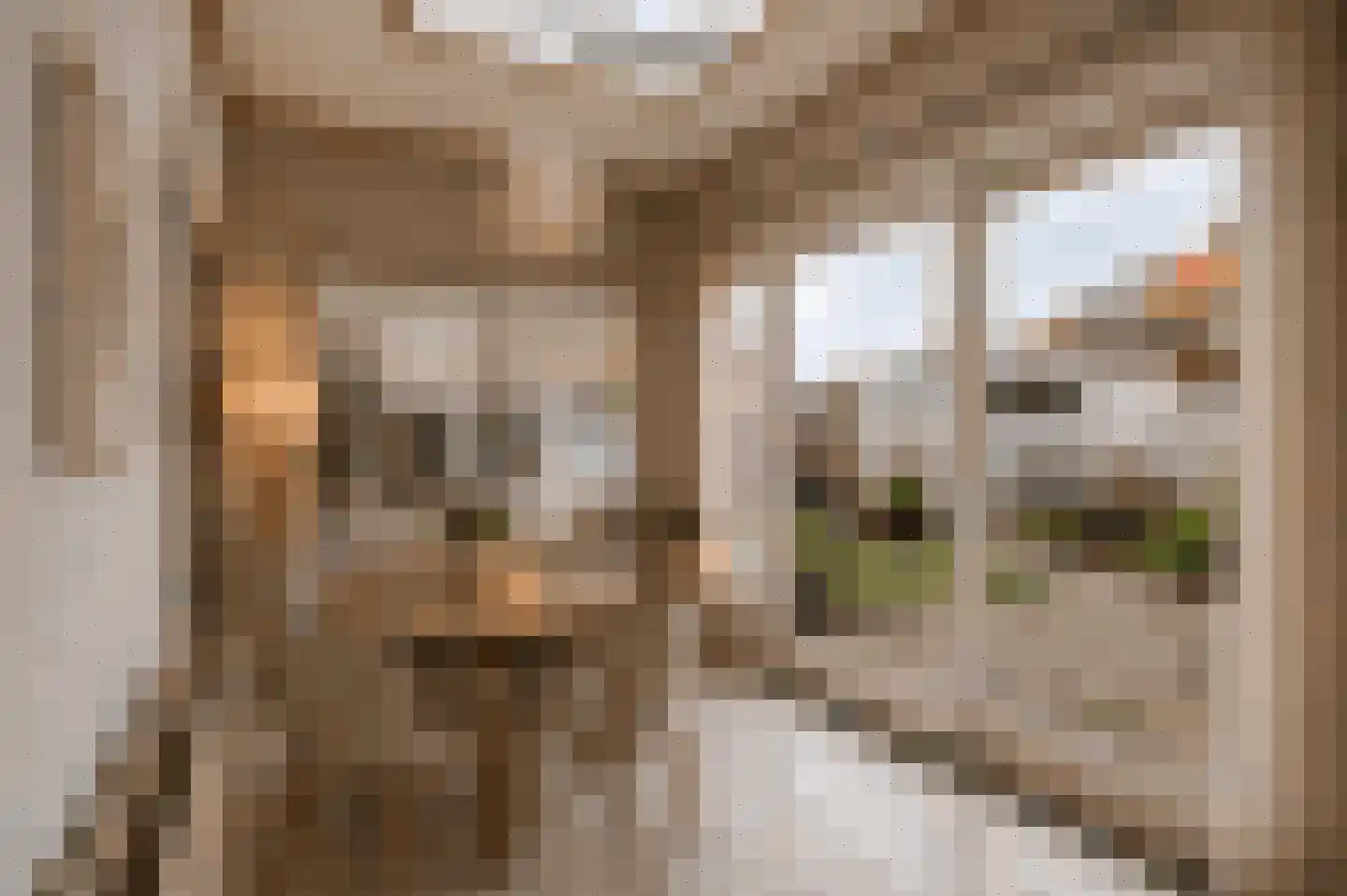 Lijsterstraat 16 Den Helder thumbnail 17