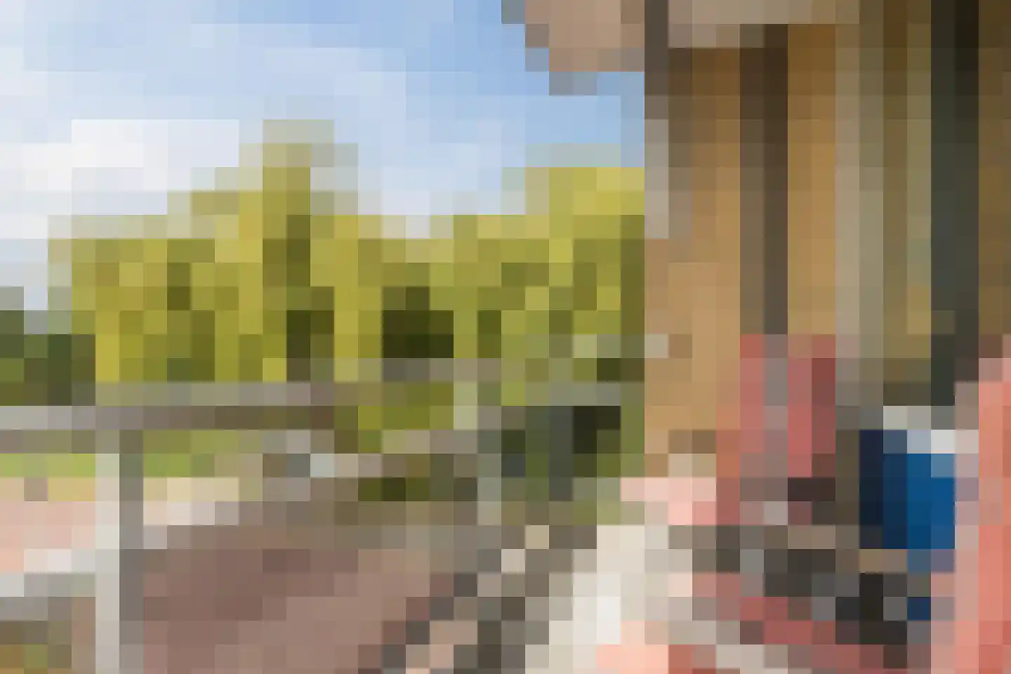 Lijsterstraat 184 Wormerveer thumbnail 34