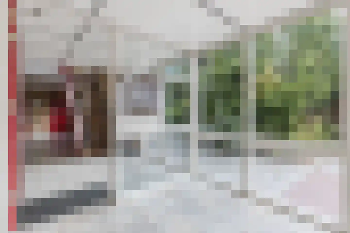 Lijsterstraat 184 Wormerveer thumbnail 45
