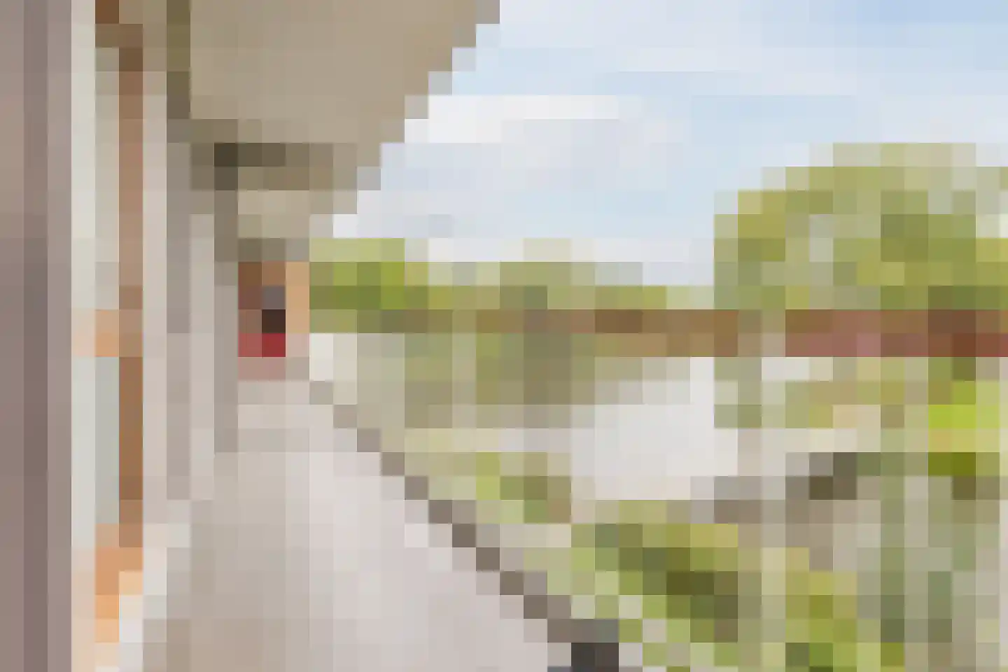 Lijsterstraat 184 Wormerveer thumbnail 8