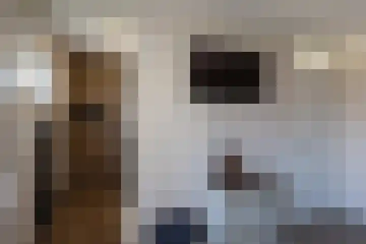 Lijsterstraat 19 Neede thumbnail 23