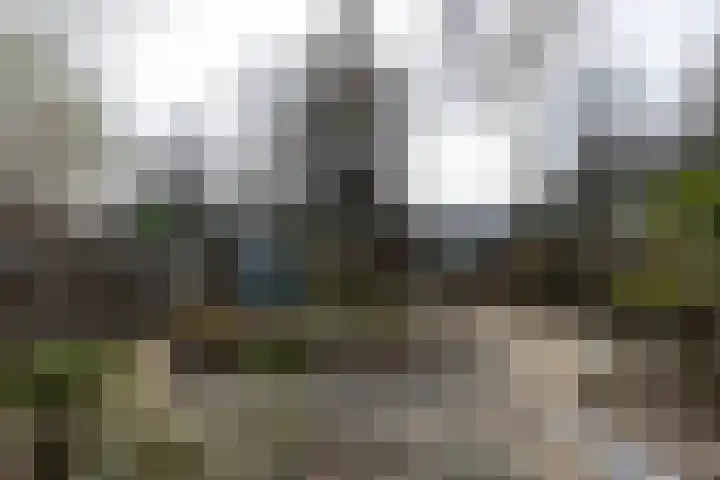 Lijsterstraat 19 Neede thumbnail 29