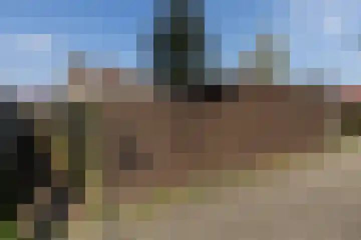 Lijsterstraat 19 Neede thumbnail 35