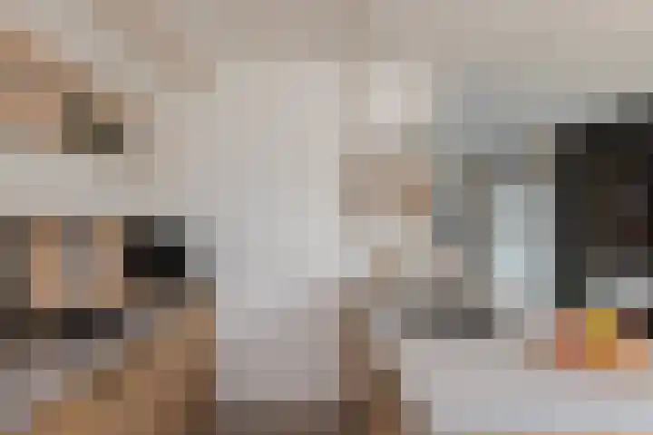 Lijsterstraat 19 Neede thumbnail 9