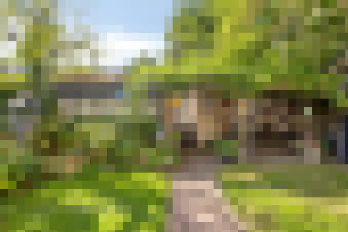 Lijsterstraat 19 Someren thumbnail 26