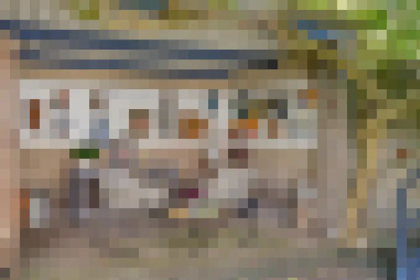 Lijsterstraat 19 Someren thumbnail 28