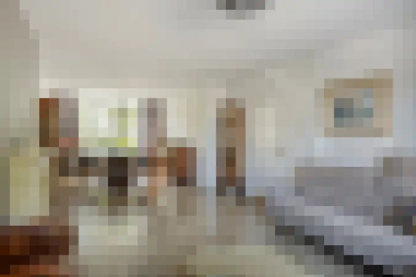Lijsterstraat 19 Someren thumbnail 5