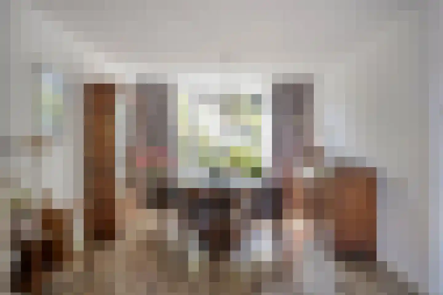 Lijsterstraat 19 Someren thumbnail 6