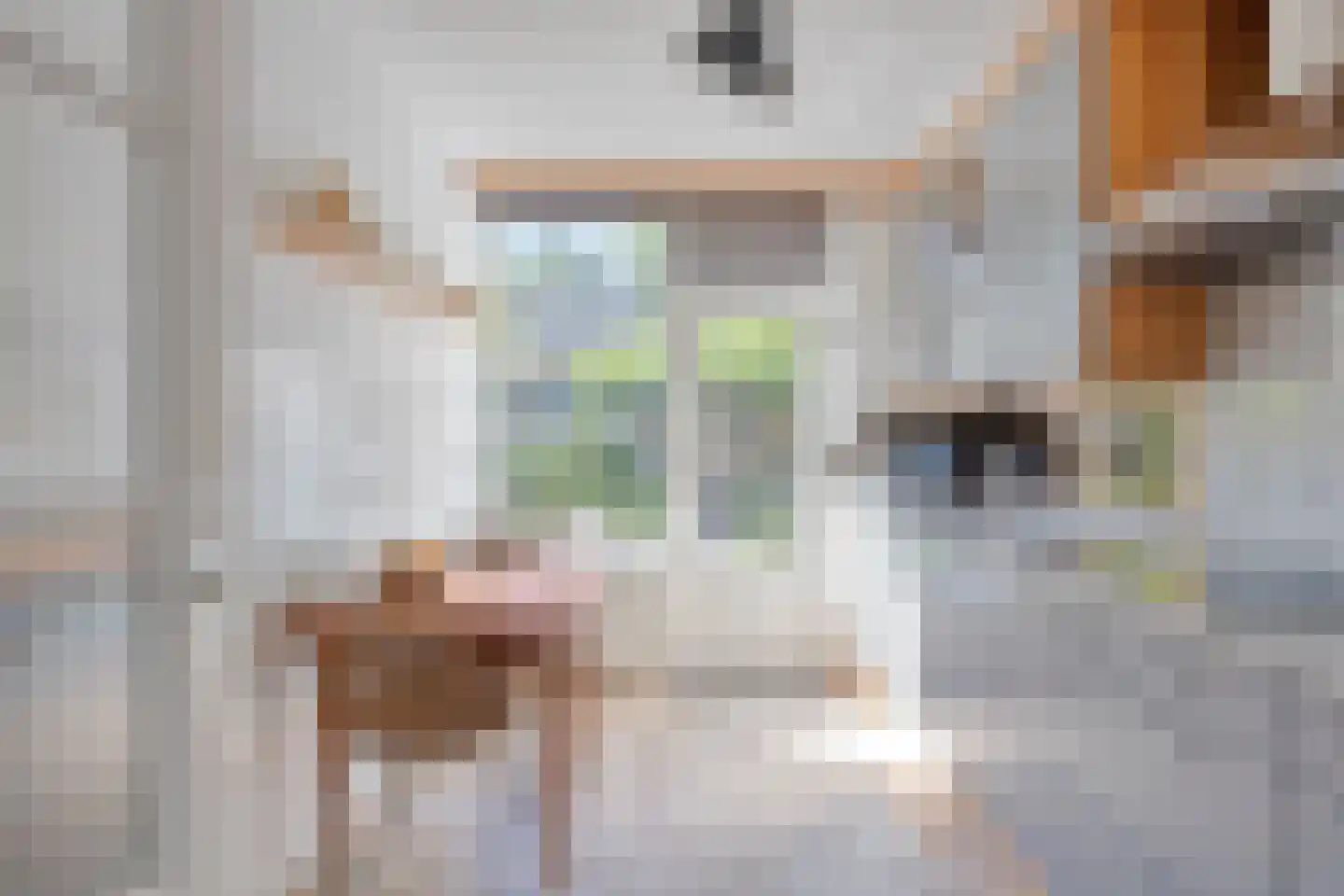 Lijsterstraat 19 Someren thumbnail 8