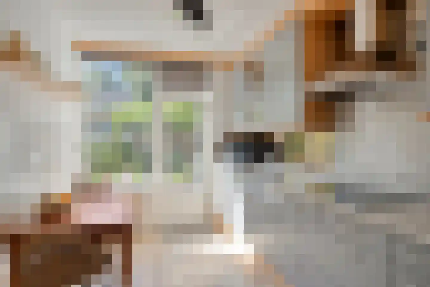 Lijsterstraat 19 Someren thumbnail 9