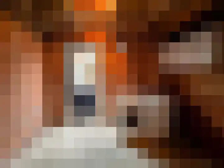 Lijsterstraat 19 Zundert thumbnail 33