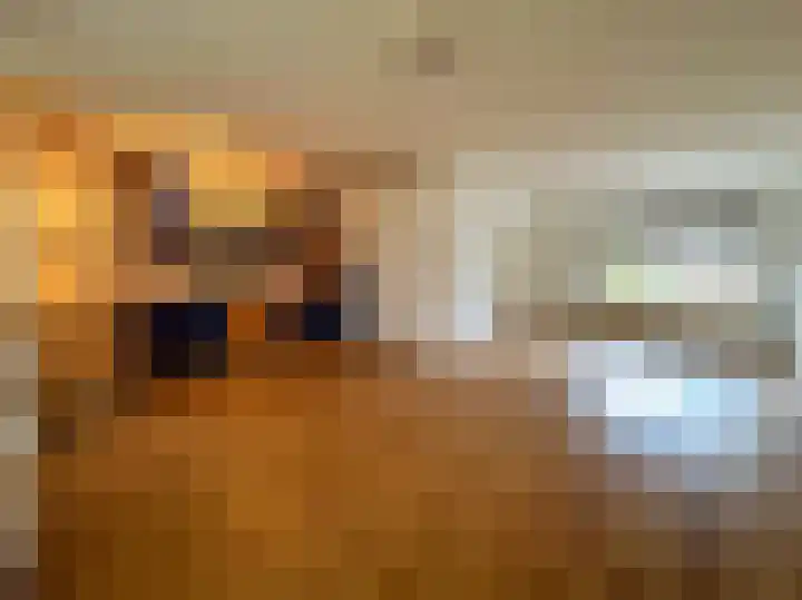 Lijsterstraat 19 Zundert thumbnail 4