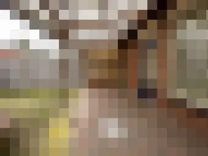 Lijsterstraat 19 Zundert thumbnail 6