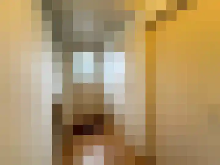 Lijsterstraat 19 Zundert thumbnail 8
