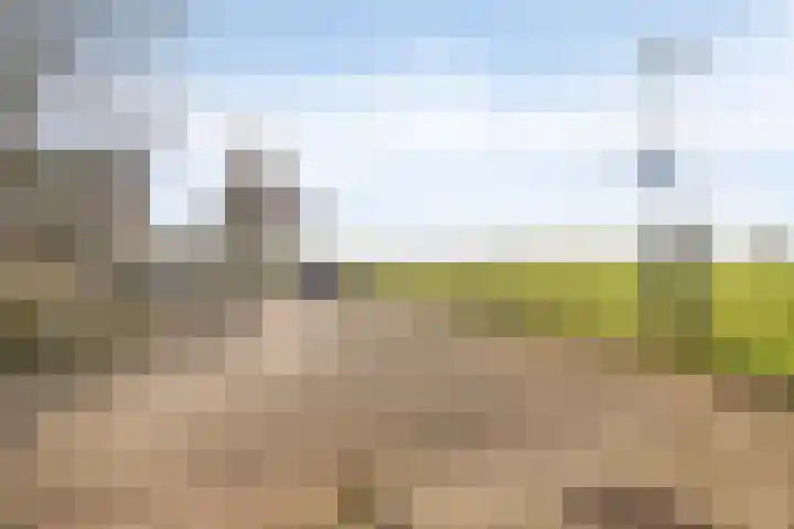 Lijsterstraat 2 Benschop thumbnail 21