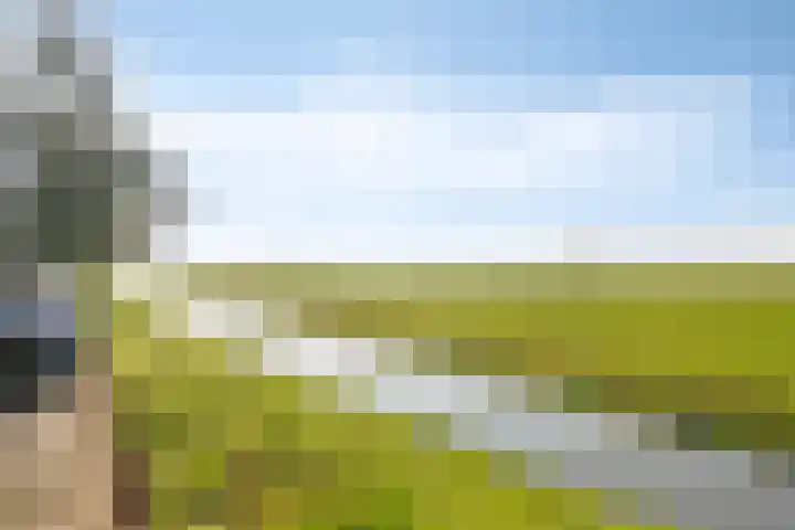 Lijsterstraat 2 Benschop thumbnail 22