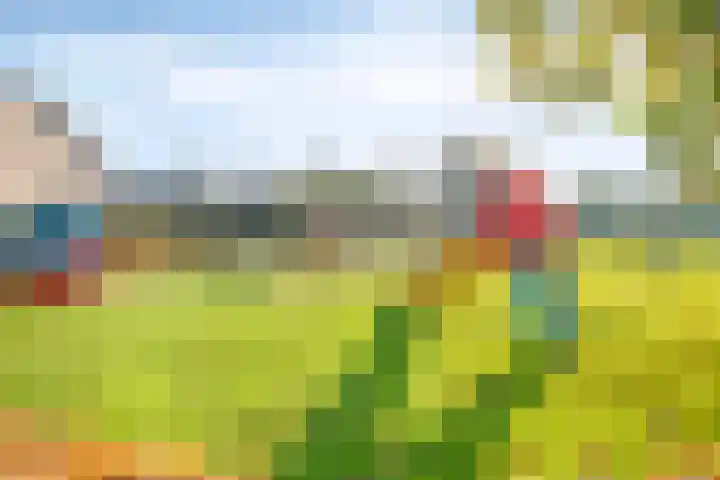 Lijsterstraat 2 Benschop thumbnail 23