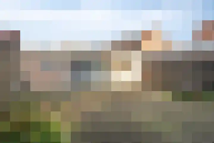 Lijsterstraat 2 Benschop thumbnail 7