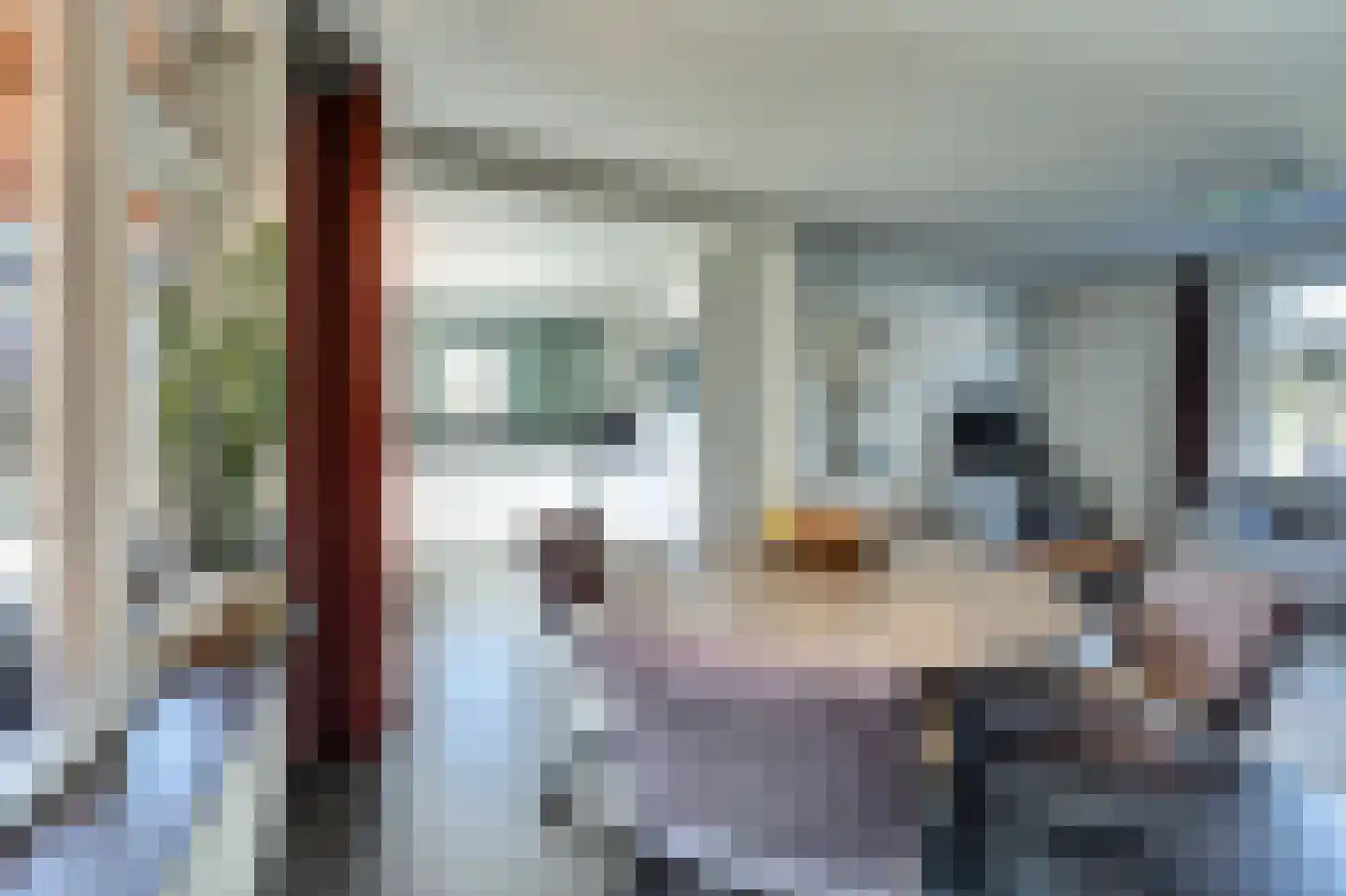 Lijsterstraat 2 Gaanderen thumbnail 10