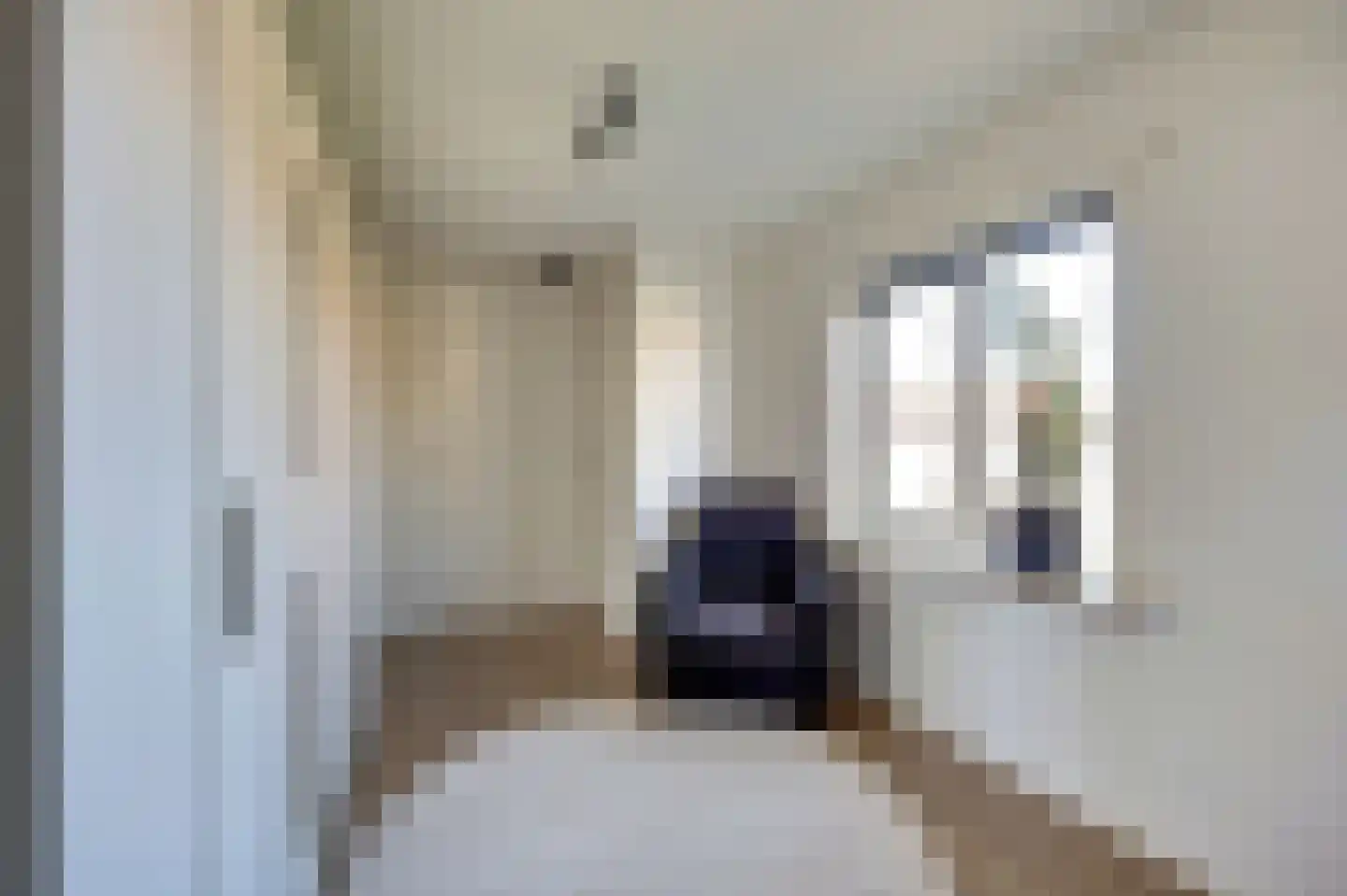 Lijsterstraat 2 Gaanderen thumbnail 22