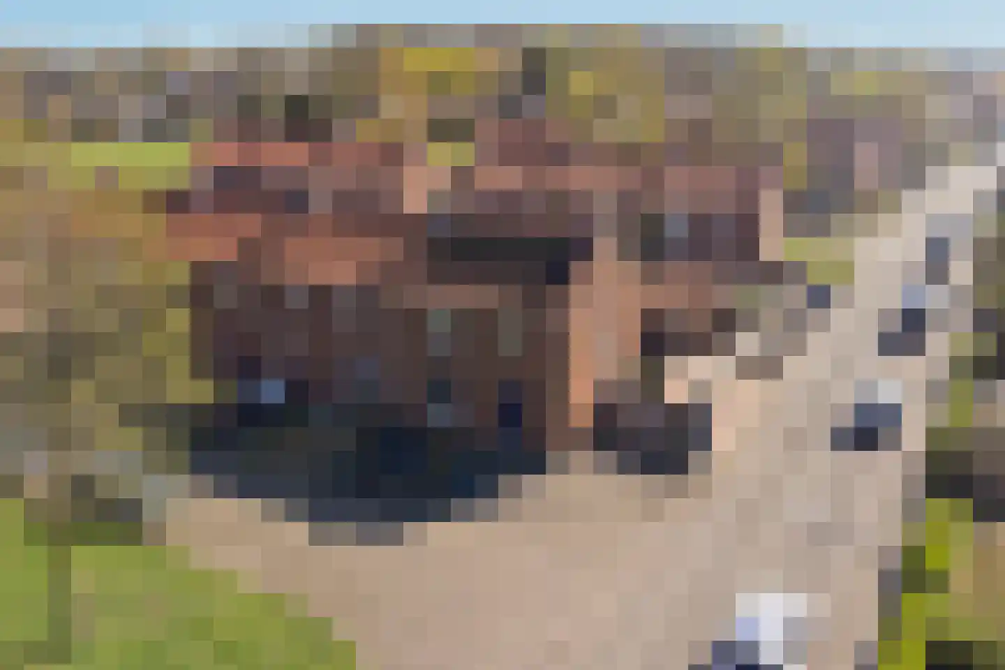 Lijsterstraat 2 Gaanderen thumbnail 32