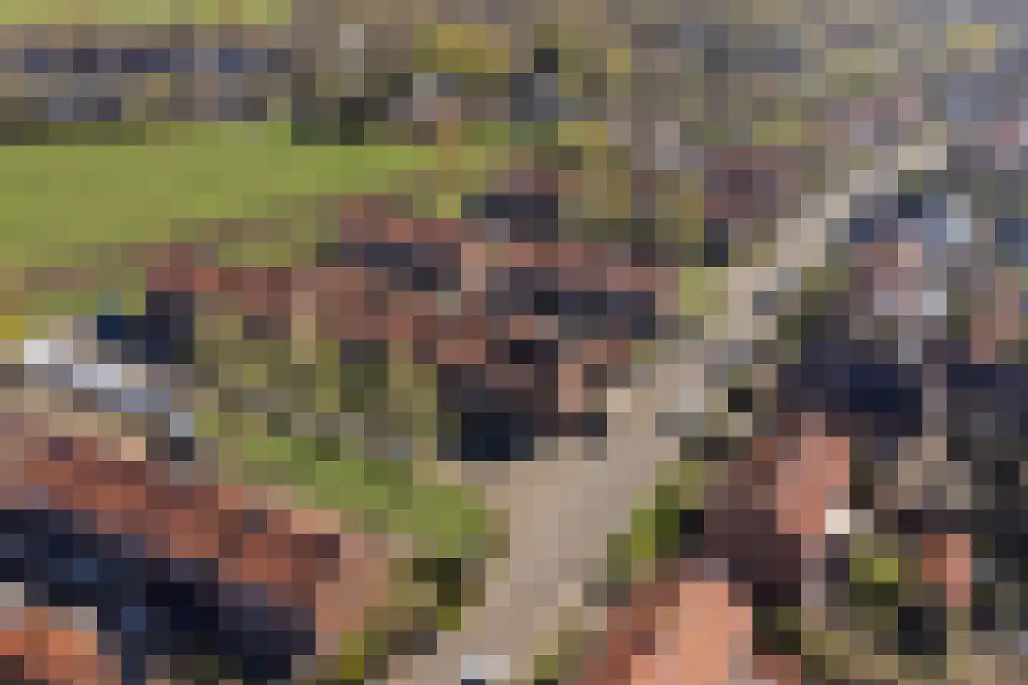 Lijsterstraat 2 Gaanderen thumbnail 34