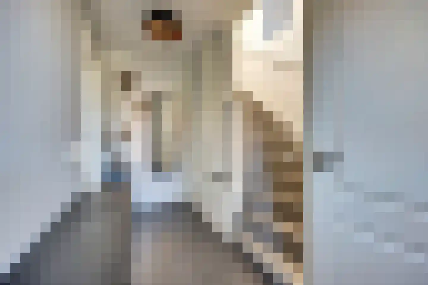 Lijsterstraat 2 Gaanderen thumbnail 4