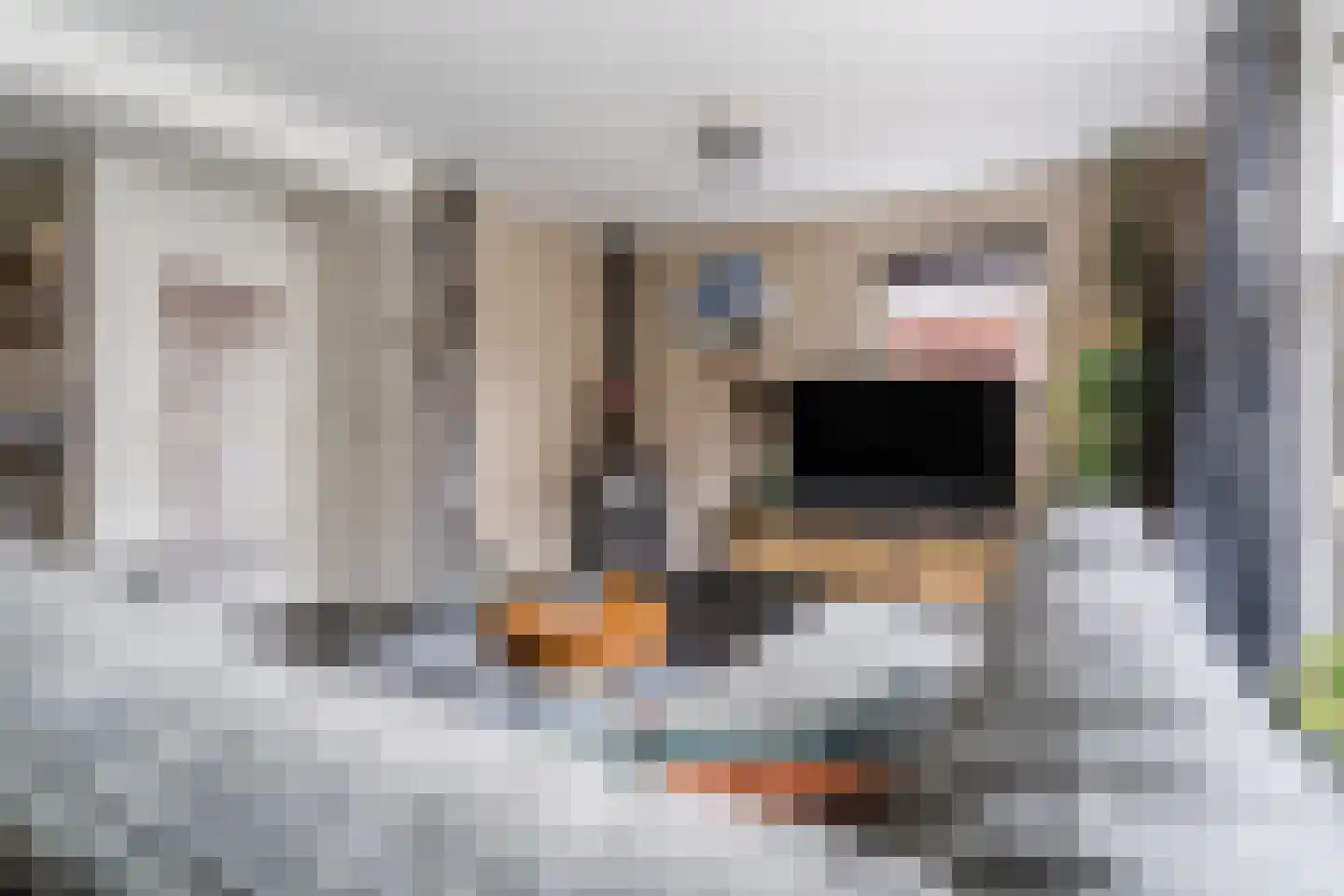 Lijsterstraat 2 Hapert thumbnail 10