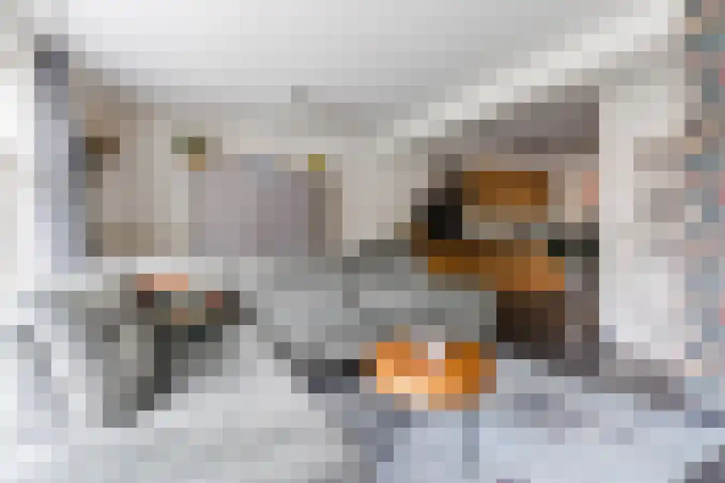 Lijsterstraat 2 Hapert thumbnail 12