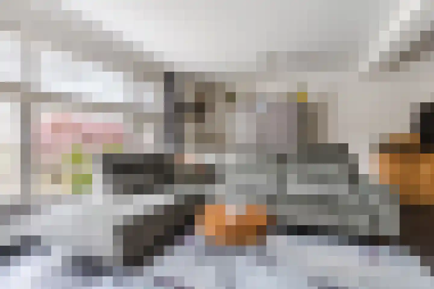 Lijsterstraat 2 Hapert thumbnail 13