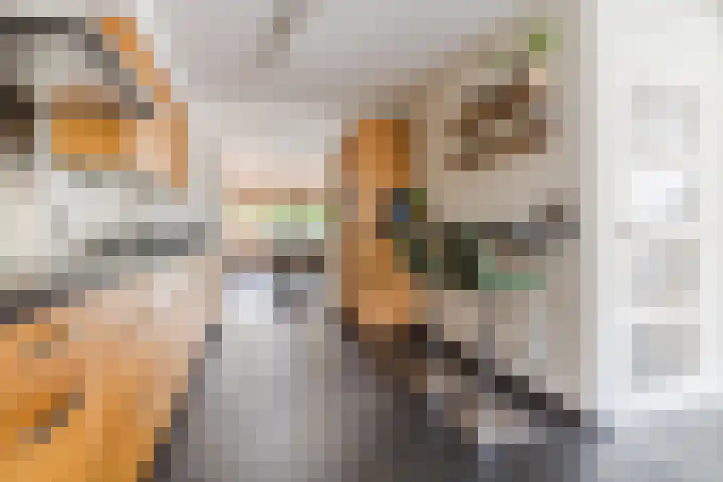 Lijsterstraat 2 Hapert thumbnail 14