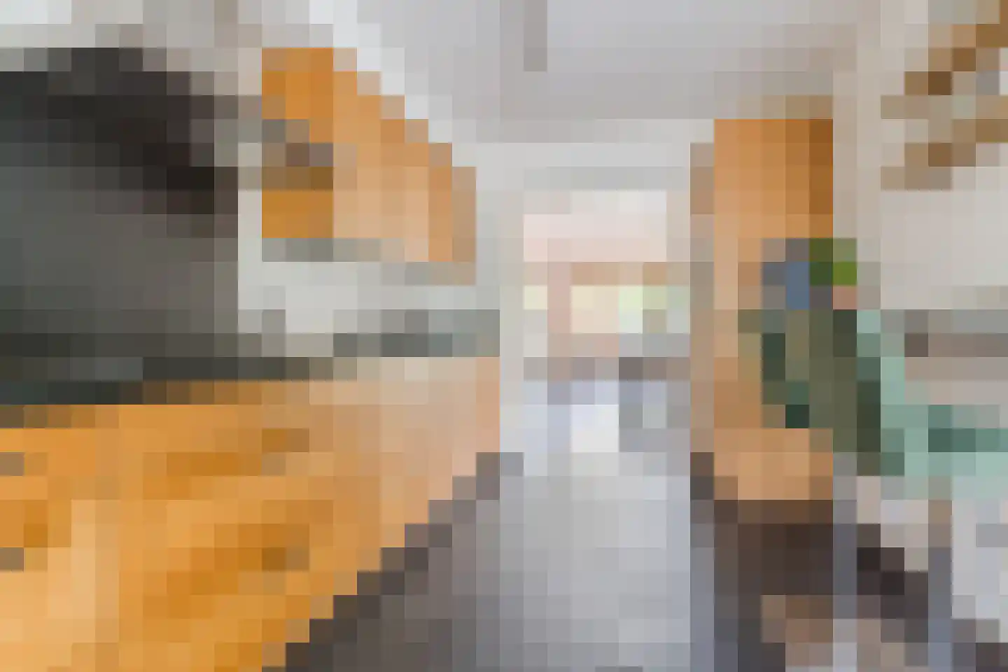 Lijsterstraat 2 Hapert thumbnail 15