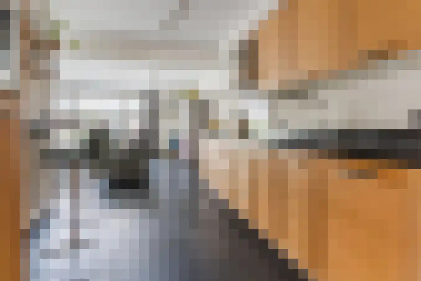 Lijsterstraat 2 Hapert thumbnail 17