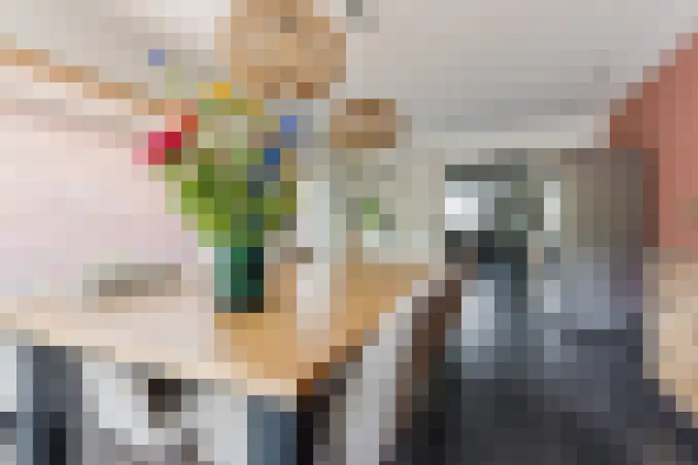 Lijsterstraat 2 Hapert thumbnail 20