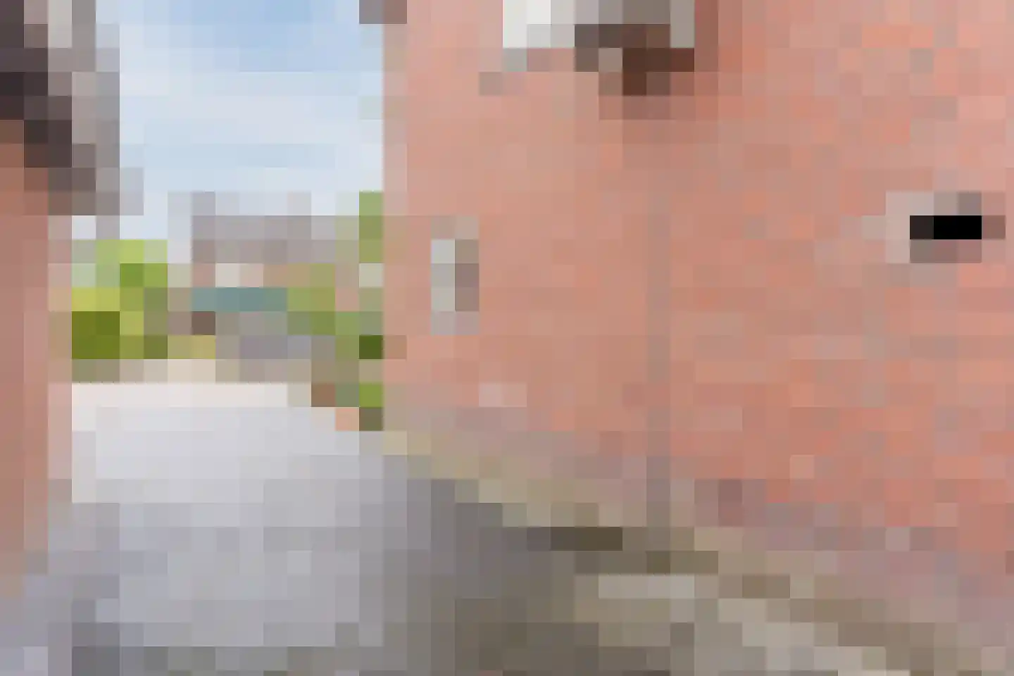 Lijsterstraat 2 Hapert thumbnail 36