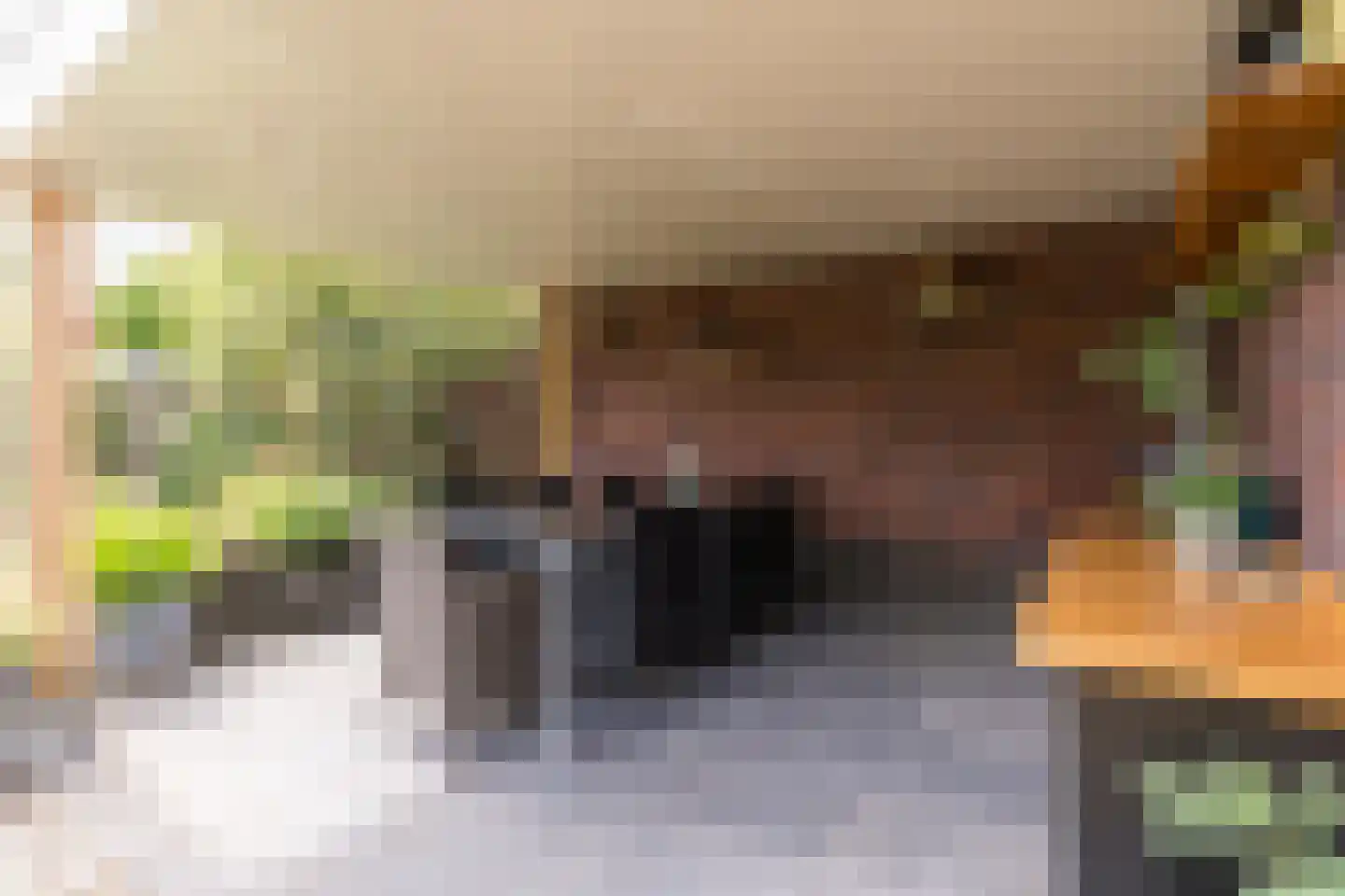 Lijsterstraat 2 Hapert thumbnail 38