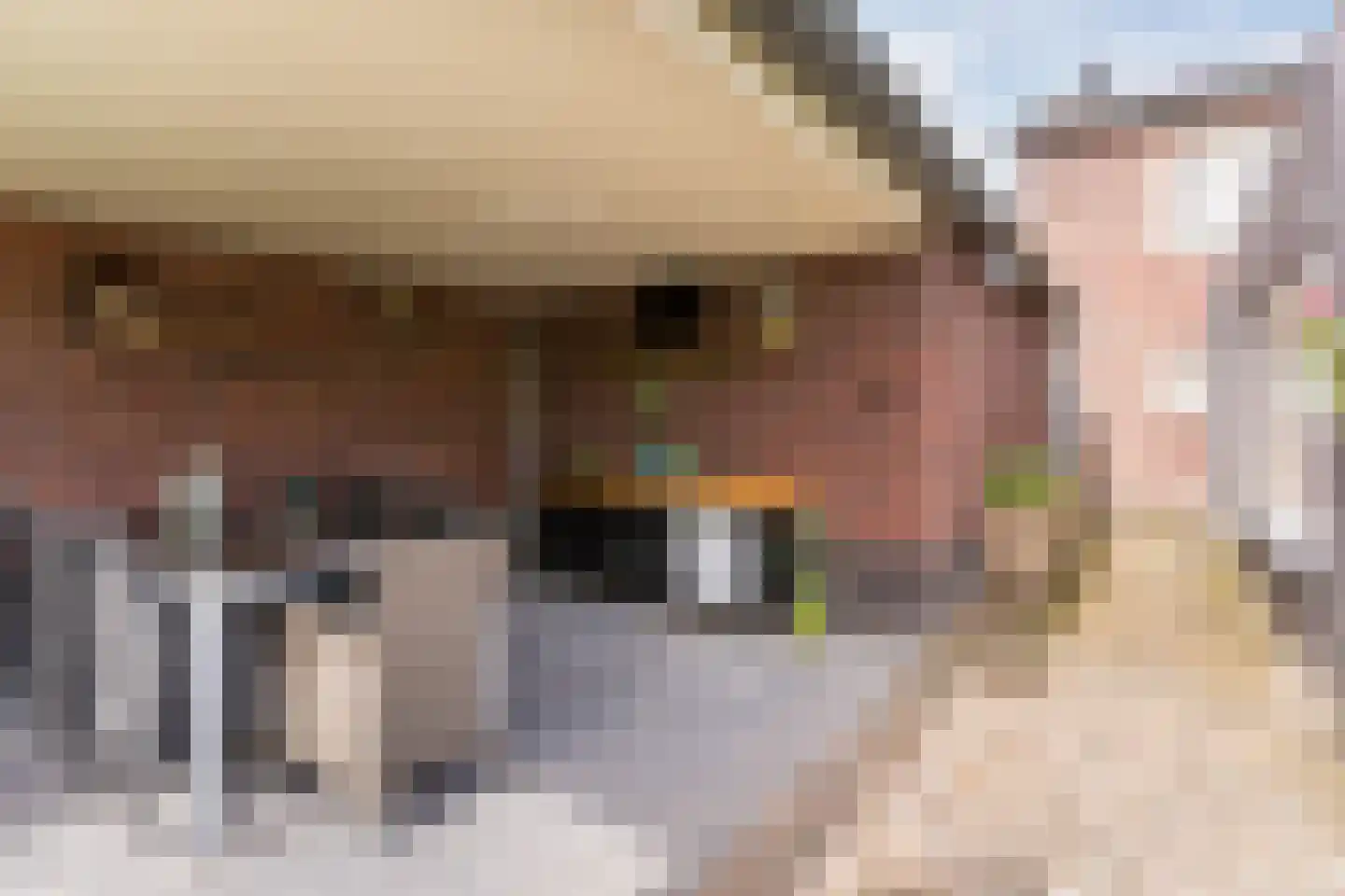 Lijsterstraat 2 Hapert thumbnail 39