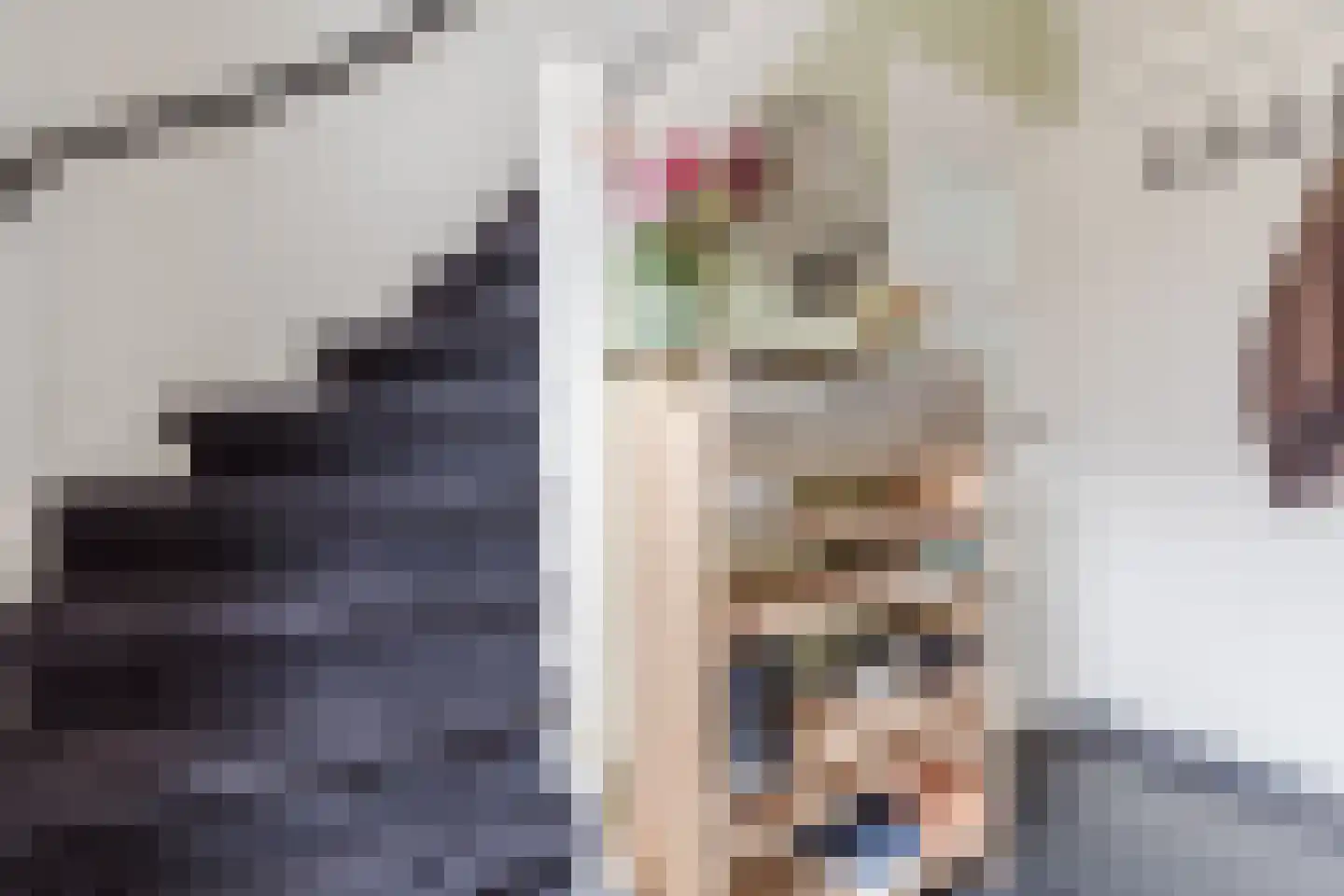 Lijsterstraat 2 Hapert thumbnail 5