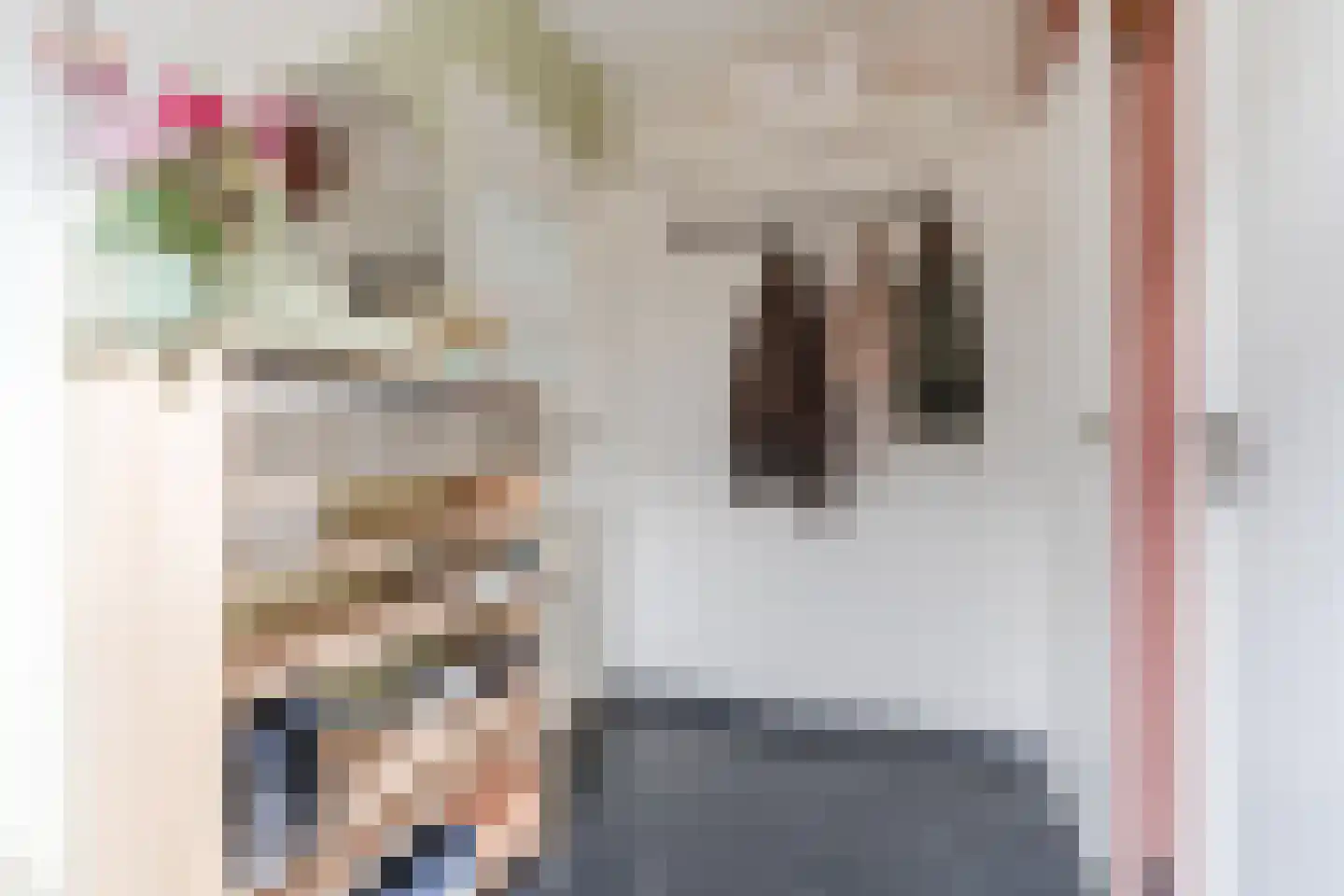 Lijsterstraat 2 Hapert thumbnail 6