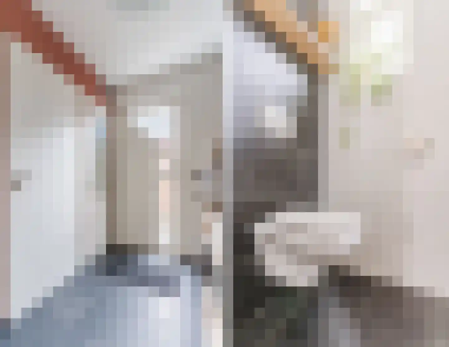 Lijsterstraat 2 Hapert thumbnail 7
