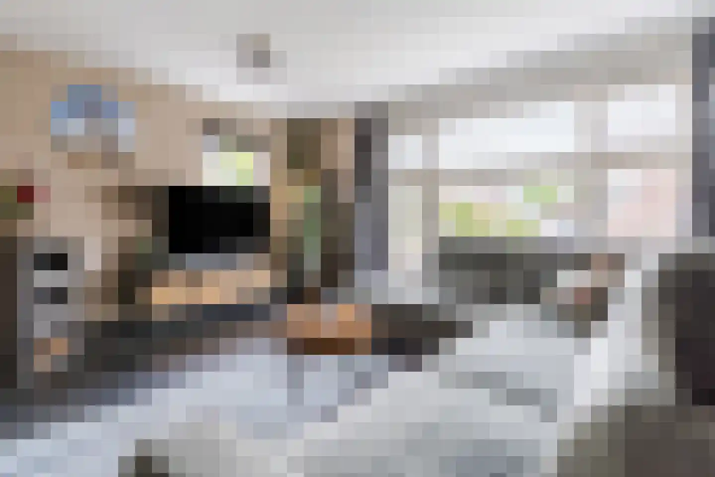 Lijsterstraat 2 Hapert thumbnail 9