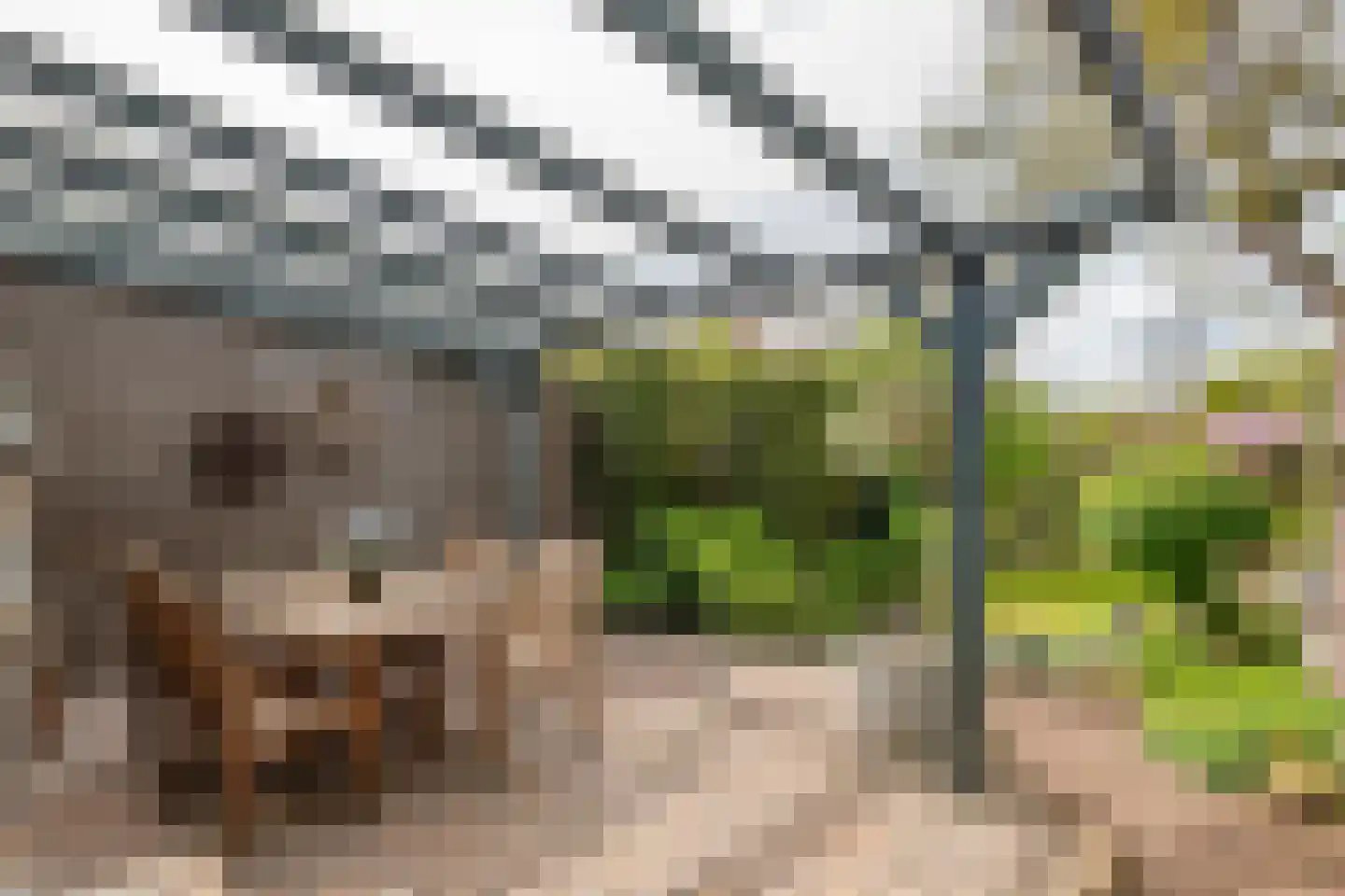 Lijsterstraat 2 Tiel thumbnail 18